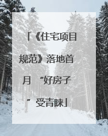 《住宅项目规范》落地首月 “好房子”受青睐