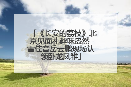《长安的荔枝》北京见面礼趣味盎然 雷佳音岳云鹏现场认领卧龙凤雏