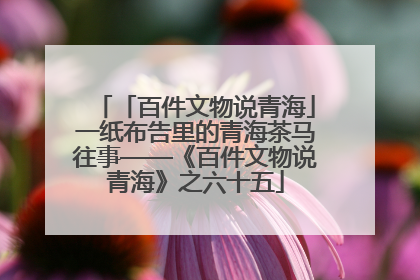 「百件文物说青海」一纸布告里的青海茶马往事——《百件文物说青海》之六十五