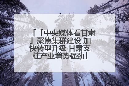 「中央媒体看甘肃」聚焦集群建设 加快转型升级 甘肃支柱产业增势强劲