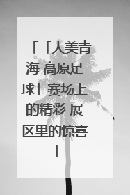 「大美青海 高原足球」赛场上的精彩 展区里的惊喜