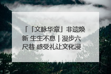 「文脉华章」非遗焕新 生生不息｜漫步六尺巷 感受礼让文化浸润的“巷”往生活