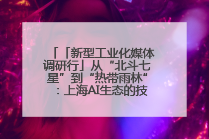 「新型工业化媒体调研行」从“北斗七星”到“热带雨林”：上海AI生态的技术商业共生密码
