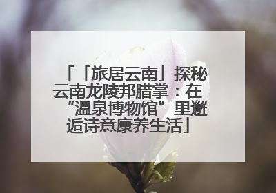 「旅居云南」探秘云南龙陵邦腊掌：在“温泉博物馆”里邂逅诗意康养生活