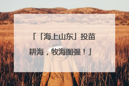 「海上山东」投苗耕海，牧海图强！