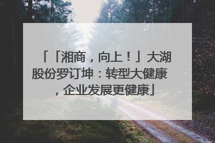 「湘商，向上！」大湖股份罗订坤：转型大健康，企业发展更健康