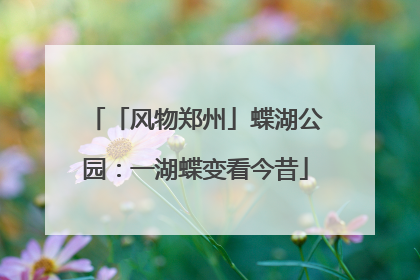 「风物郑州」蝶湖公园：一湖蝶变看今昔
