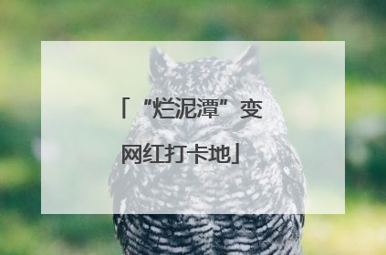 “烂泥潭”变网红打卡地