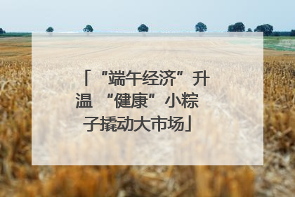 “端午经济”升温 “健康”小粽子撬动大市场