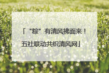“粽”有清风拂面来！五社联动共织清风网