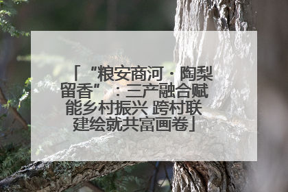 “粮安商河・陶梨留香”：三产融合赋能乡村振兴 跨村联建绘就共富画卷