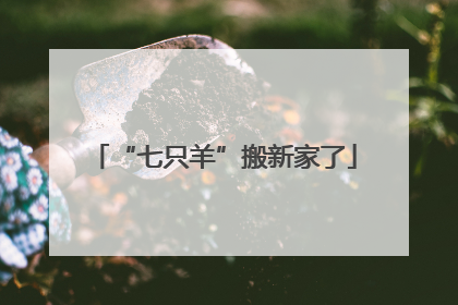 “七只羊”搬新家了