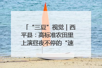 “三夏”视觉｜西平县：高标准农田里上演昼夜不停的“速度与激情”