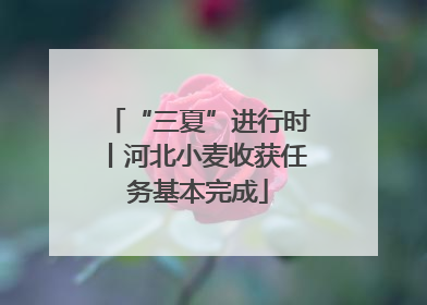 “三夏”进行时丨河北小麦收获任务基本完成