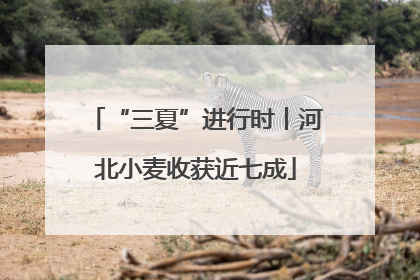 “三夏”进行时丨河北小麦收获近七成