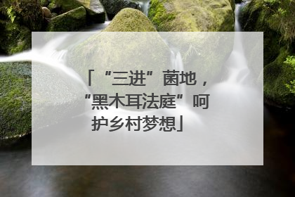 “三进”菌地，“黑木耳法庭”呵护乡村梦想