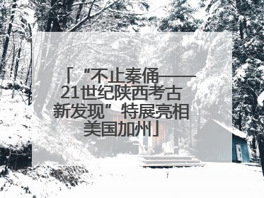 “不止秦俑——21世纪陕西考古新发现”特展亮相美国加州