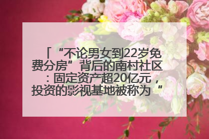 “不论男女到22岁免费分房”背后的南村社区：固定资产超20亿元，投资的影视基地被称为“山村好莱坞”