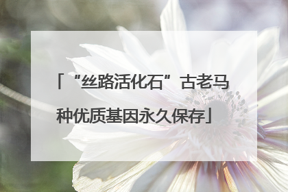 “丝路活化石”古老马种优质基因永久保存