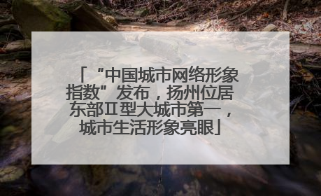 “中国城市网络形象指数”发布，扬州位居东部Ⅱ型大城市第一，城市生活形象亮眼