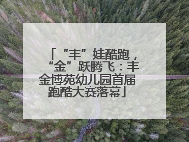 “丰”娃酷跑，“金”跃腾飞：丰金博苑幼儿园首届跑酷大赛落幕