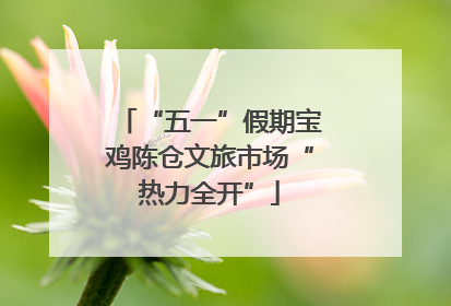 “五一”假期宝鸡陈仓文旅市场“热力全开”