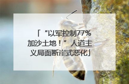 “以军控制77%加沙土地！”人道主义局面断崖式恶化