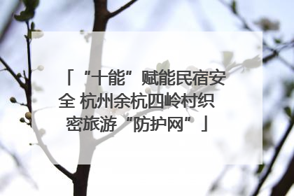 “十能”赋能民宿安全 杭州余杭四岭村织密旅游“防护网”