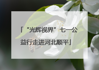 “光辉视界”七一公益行走进河北顺平