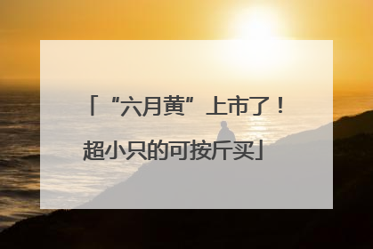 “六月黄”上市了！超小只的可按斤买