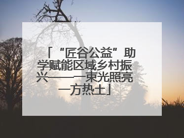 “匠谷公益”助学赋能区域乡村振兴——一束光照亮一方热土