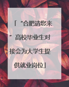 “合肥请您来”高校毕业生对接会为大学生提供就业岗位