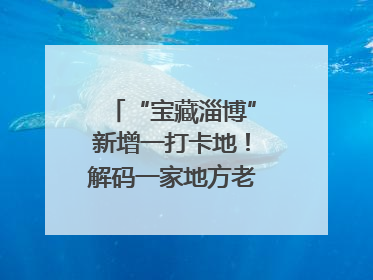 “宝藏淄博”新增一打卡地！解码一家地方老字号的“五星级”破局之路