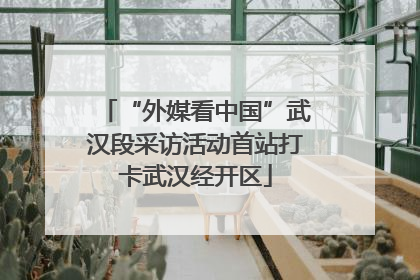 “外媒看中国”武汉段采访活动首站打卡武汉经开区
