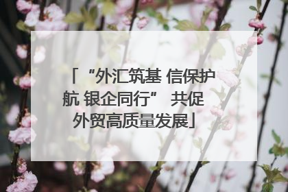 “外汇筑基 信保护航 银企同行” 共促外贸高质量发展