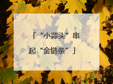 “小蒜头”串起“金链条”