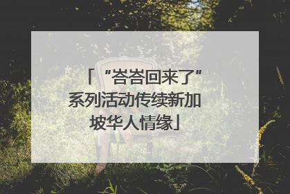 “峇峇回来了”系列活动传续新加坡华人情缘