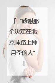“感谢那个决定在北京环路上种月季的人”