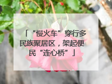 “慢火车”穿行多民族聚居区，架起便民“连心桥”