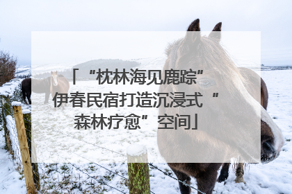 “枕林海见鹿踪” 伊春民宿打造沉浸式“森林疗愈”空间