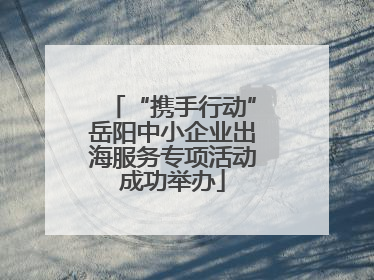 “携手行动”岳阳中小企业出海服务专项活动成功举办