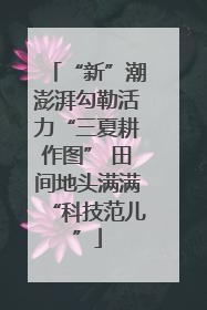 “新”潮澎湃勾勒活力“三夏耕作图” 田间地头满满“科技范儿”