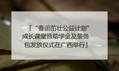 “春蕾茁壮公益计划”成长课堂暨助学金及装备包发放仪式在广西举行