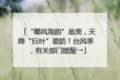 “椰风海韵”虽美，天降“巨叶”要防！台风季，有关部门提醒→