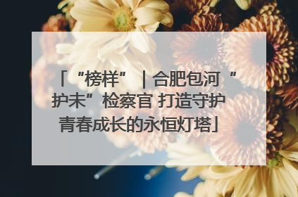 “榜样”｜合肥包河“护未”检察官 打造守护青春成长的永恒灯塔