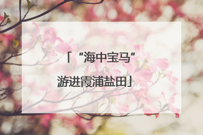 “海中宝马”游进霞浦盐田