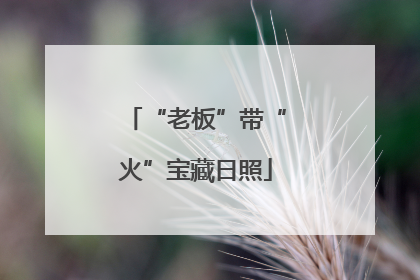 “老板”带“火”宝藏日照