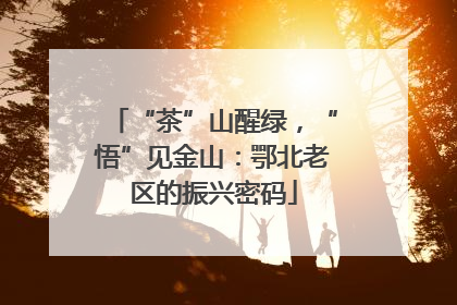 “茶”山醒绿，“悟”见金山：鄂北老区的振兴密码
