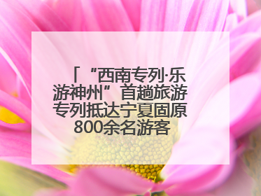 “西南专列·乐游神州”首趟旅游专列抵达宁夏固原 800余名游客开启清凉之旅
