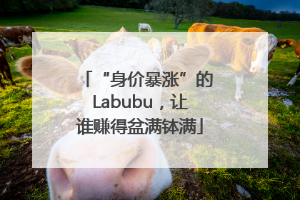“身价暴涨”的Labubu，让谁赚得盆满钵满